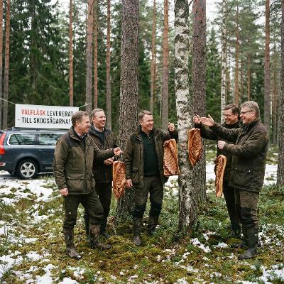 Skogsfredag #305 - Stormläget och förmodat valfläsk Skogsfredag #305 - Stormläget och förmodat valfläsk