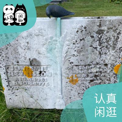 Vol.128【认真闲逛】换个角度看北欧：陵园、森林、图书馆