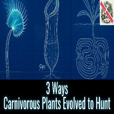 3 Killer Plants That Don’t Even Need to Move 🌱