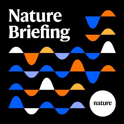 Briefing Chat: What Brazilian centenarians could reveal about the science of ageing Briefing Chat: What Brazilian centenarians could reveal about the science of ageing