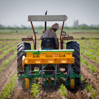 Episode 256: Addressing the Global Food Crisis: CIMMYT Experts Weigh In