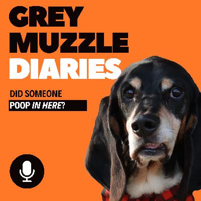 Episode 14: Jason Grom & Sammy Episode 14: Jason Grom & Sammy