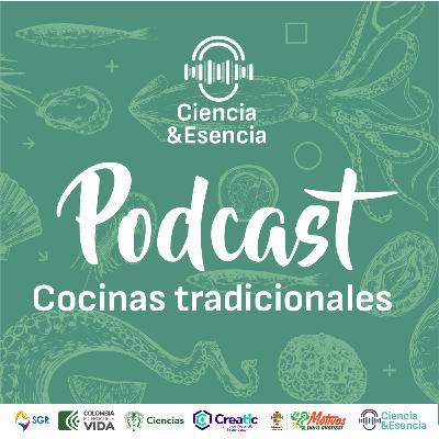 Cocinas tradicionales