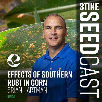 Effects of Southern Rust in Corn With Brian Hartman