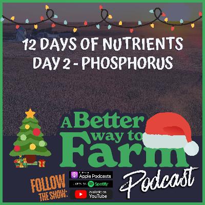 12 Days of Nutrients - Day 2: Phosphorus