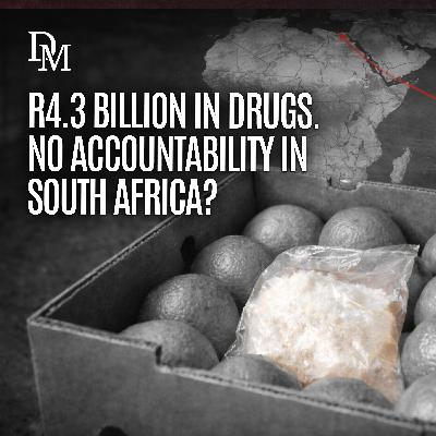 Suspicions circle SA over R4.3-billion drugs hidden in fruit export to India