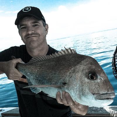 Casting lures for snapper in estuaries, and targeting skipjack tuna