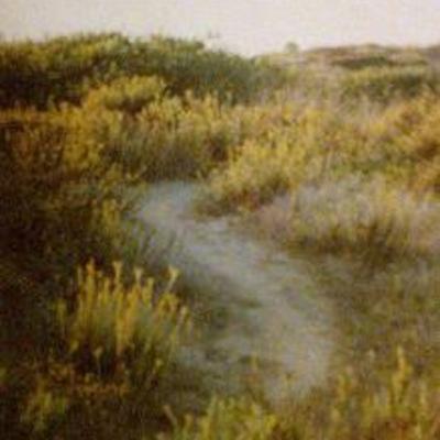 Poetry Readings: Untitled