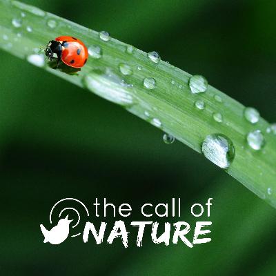 The Call Of Nature Trailer