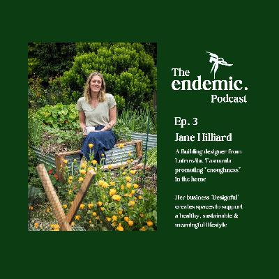 Ep. 3 - Jane Hilliard of Designful