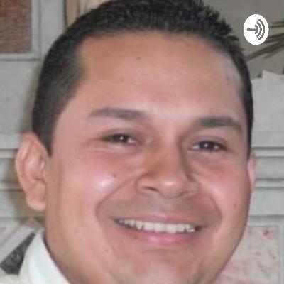 Enrique, el erizo estudioso