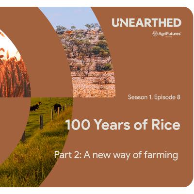 100 Years of Rice - Part 2: A new way of farming