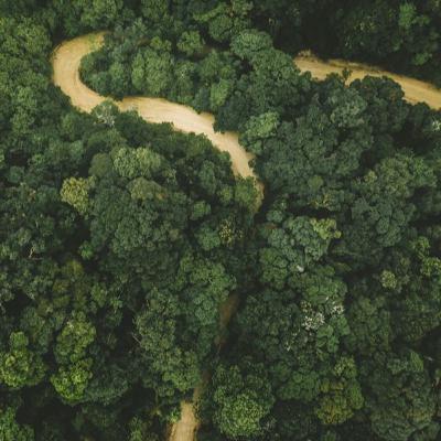 Có Gì Dọc Theo 6500 Kilomet Sông Amazon Chưa Được Khám Phá? Có Gì Dọc Theo 6500 Kilomet Sông Amazon Chưa Được Khám Phá?