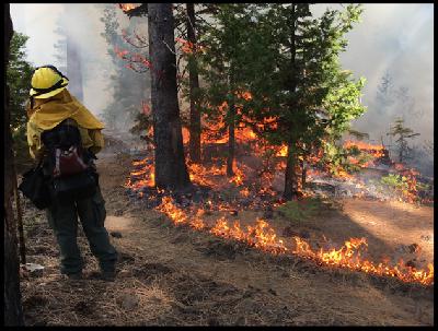 162-Intentional Fire-Shifting Society’s Relationship with Wildfire w/ Marissa Christansen & Chris Anthony