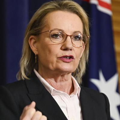 Sussan Ley plays down Liberal rift after Senator questions her support