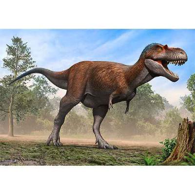 Albertosaurus, the Alberta Lizard Again