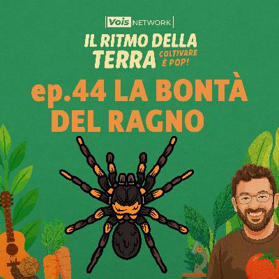 La bontà del ragno - Ep.44 Il ritmo della terra - coltivare è pop! La bontà del ragno - Ep.44 Il ritmo della terra - coltivare è pop!
