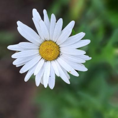 Picking Up the Pieces.. After [during] Covid.. Back tl School. Back to Work. Hope for a great Year ❤