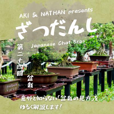 第24回　盆栽(Bonsai)/意外と知らない「盆栽の見方」をゆるく解説します！