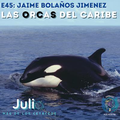 E45: Jaime Bolaños. Las Orcas del Caribe E45: Jaime Bolaños. Las Orcas del Caribe