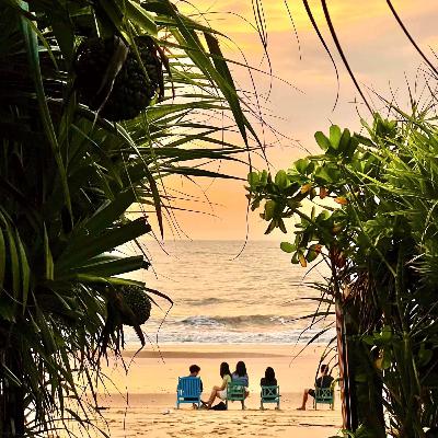 BỎ PHỐ - Cần bao nhiêu TIỀN và LÒNG DŨNG CẢM để bắt đầu? | Vũ Minh Trà