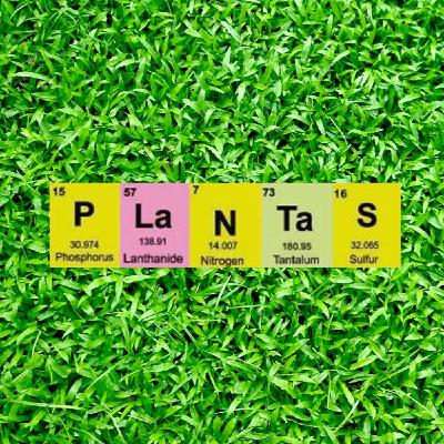 Fascinacion por las Plantas - 235 - Ceguera Vegetal