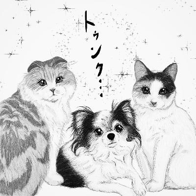 ときめきトゥンクナイト