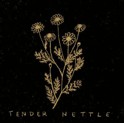ep. 01 | chamomile