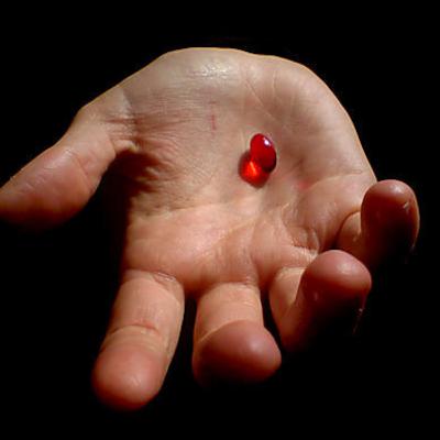 The Red Pill Experience Dose #2