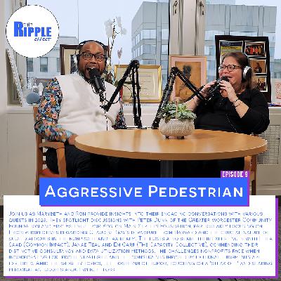 Aggressive Pedestrian Aggressive Pedestrian