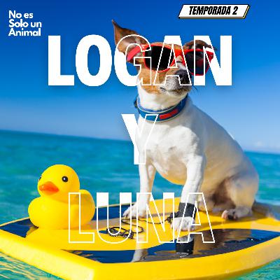 Logan de visita en Colombia. Logan de visita en Colombia.