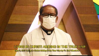 Living in Christ: Abiding in The True Vine Living in Christ: Abiding in The True Vine