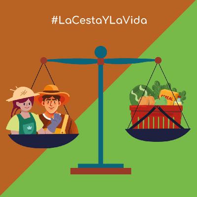 La cesta y la vida I Edición 2023