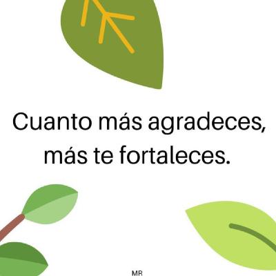 Dia 15 Sana Mágicamente tus relaciones