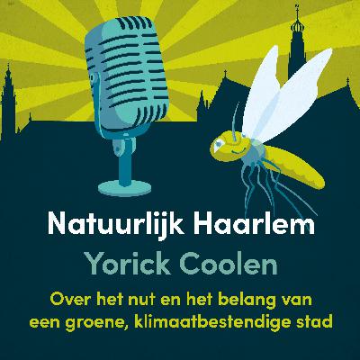 6. De Grote Markt