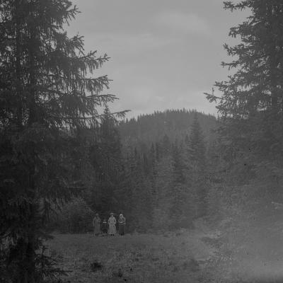 22. Maja Daniels: Memories of the Forest 22. Maja Daniels: Memories of the Forest