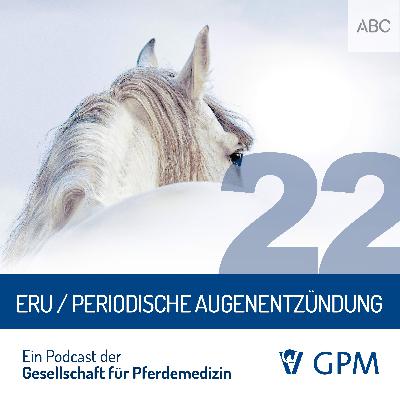 ERU - Periodische Augenentzündung