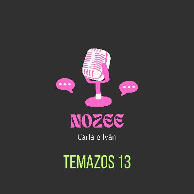 TEMAZOS 13