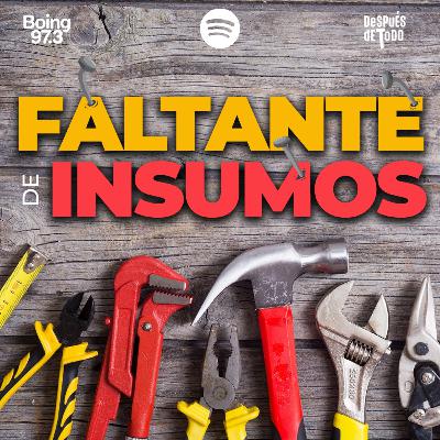 FALTANTE en INSUMOS tras las PASO y PREOCUPACIÓN en el sector