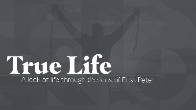 True Life - Life in View of Others