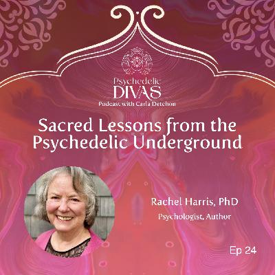 24. Sacred Lessons from the Psychedelic Underground