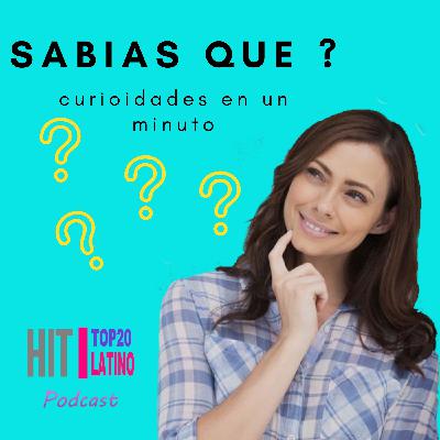 sabia como crese las berengenas