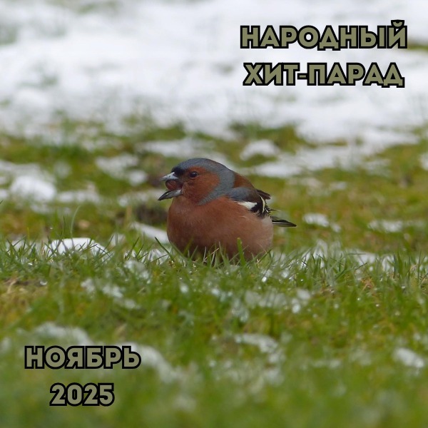 Народный хит-парад | ноябрь 2025 (12-12-2025) Народный хит-парад | ноябрь 2025 (12-12-2025)