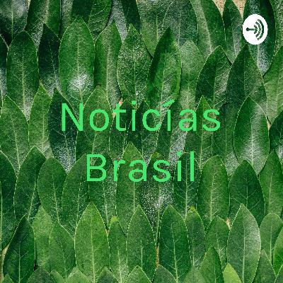 Impactos das Fake News