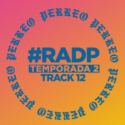 RADP - VIOLENCIA Y REGGAETON