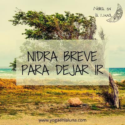 Nidra breve para dejar ir...