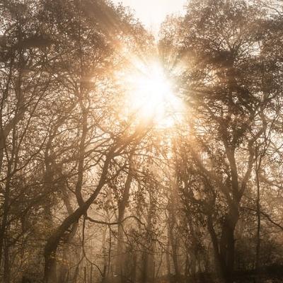 Weather Forecast Weather Forecast