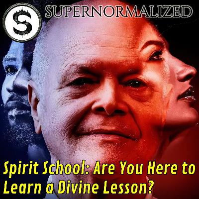 Past Lives & Spirit School: Are You Here to Learn a Divine Lesson? Interview With John Koenig Past Lives & Spirit School: Are You Here to Learn a Divine Lesson? Interview With John Koenig