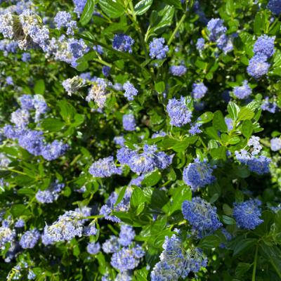 Introduction au développement personnel