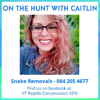 On the Hunt #31 Signing-off for 2020